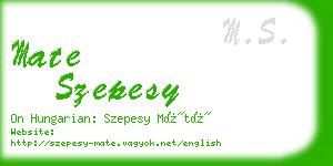 mate szepesy business card